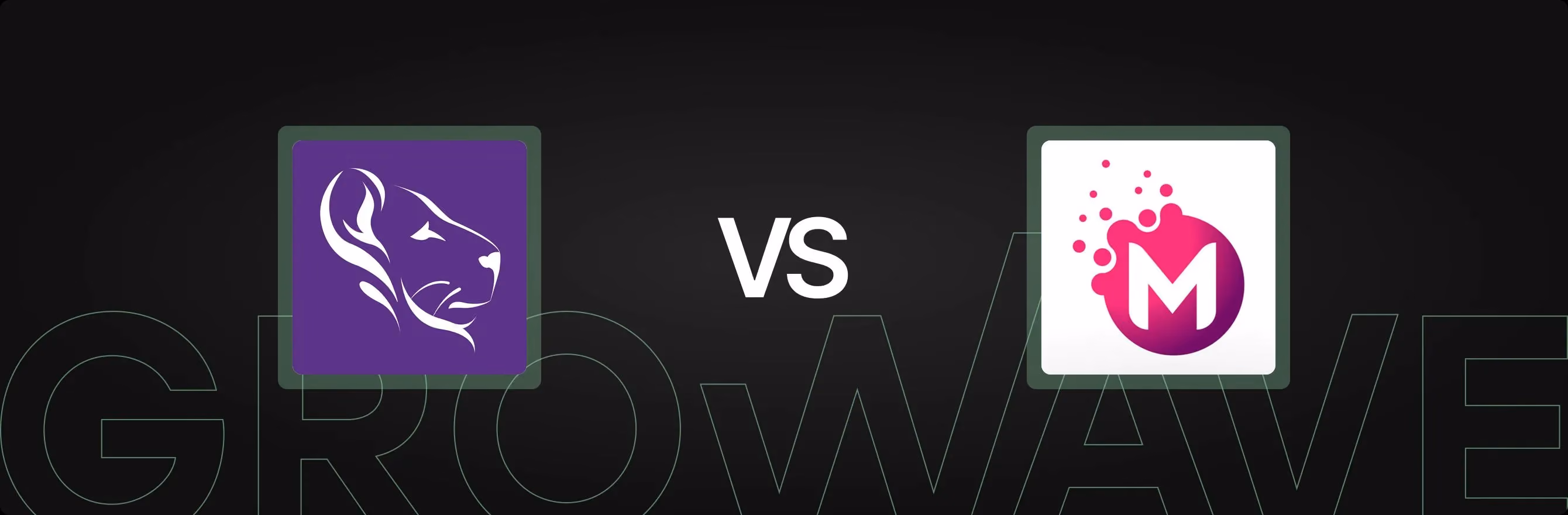 LoyaltyLion vs. Mimoran: Choosing the Right Shopify Loyalty App