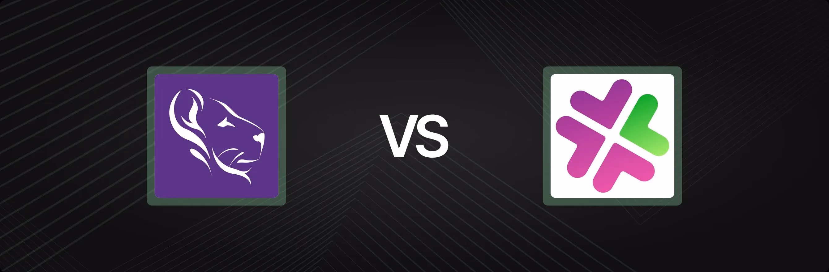 LoyaltyLion vs. Patch Customer Retention: Comparing Shopify Apps