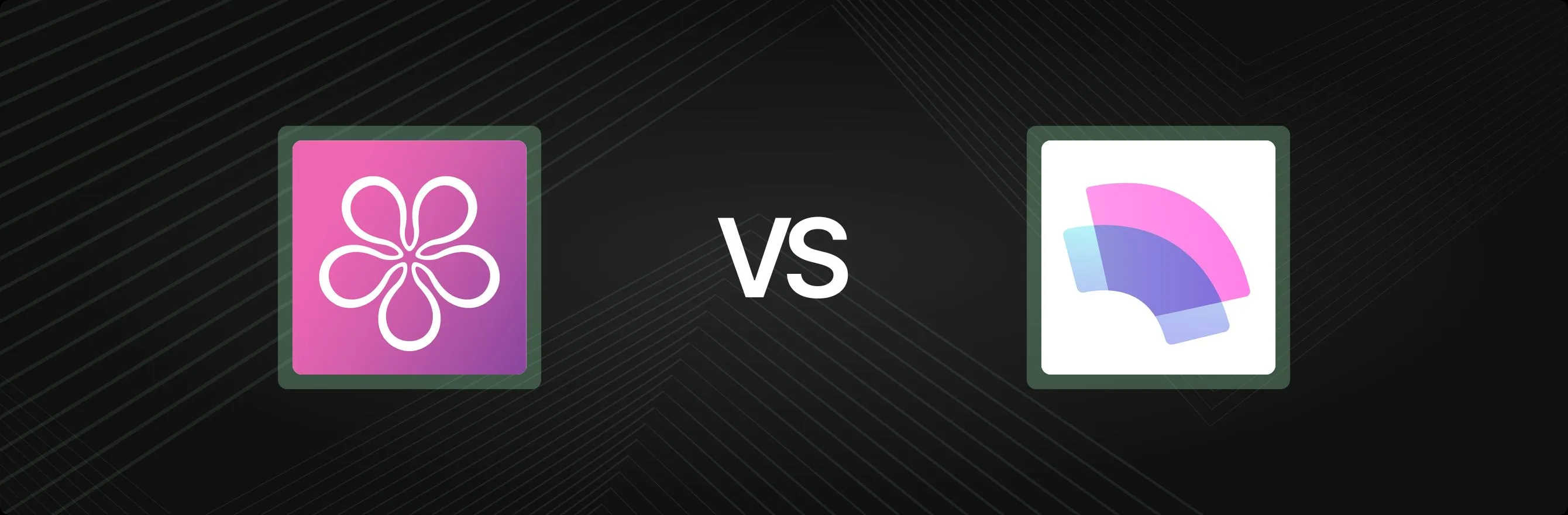 bon-loyalty-program-rewards-vs-influence-loyalty-referral-a-comparison