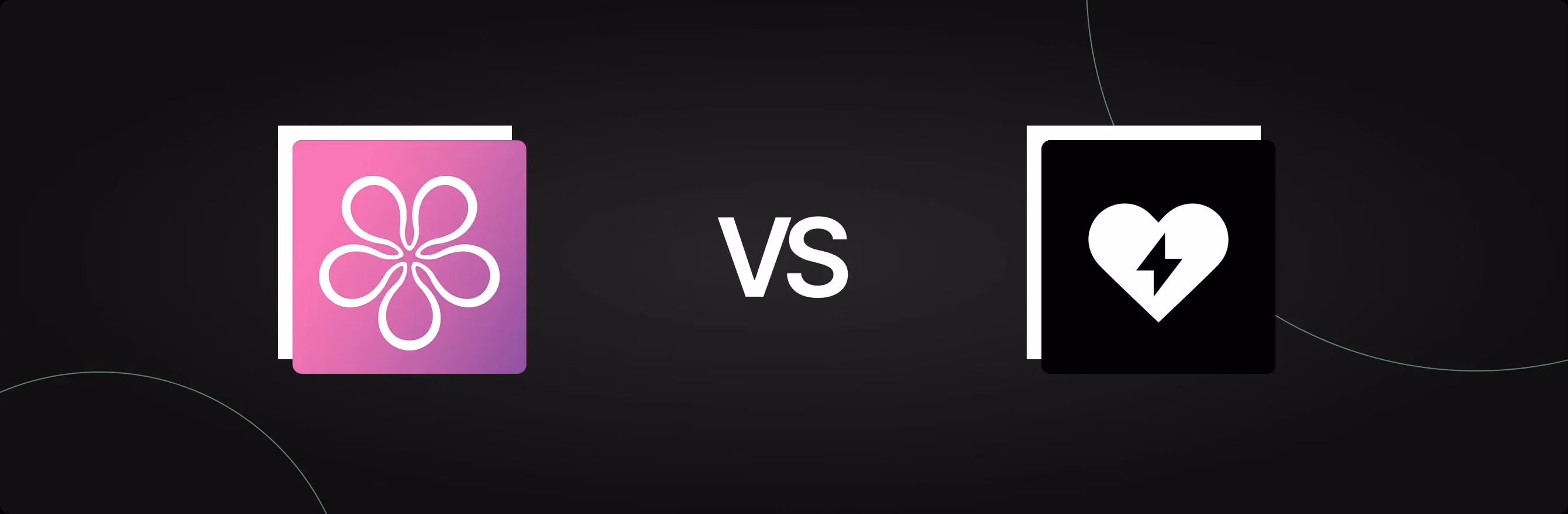 BON Loyalty Program & Rewards vs. Essent Loyalty Program Rewards: A Detailed Comparison