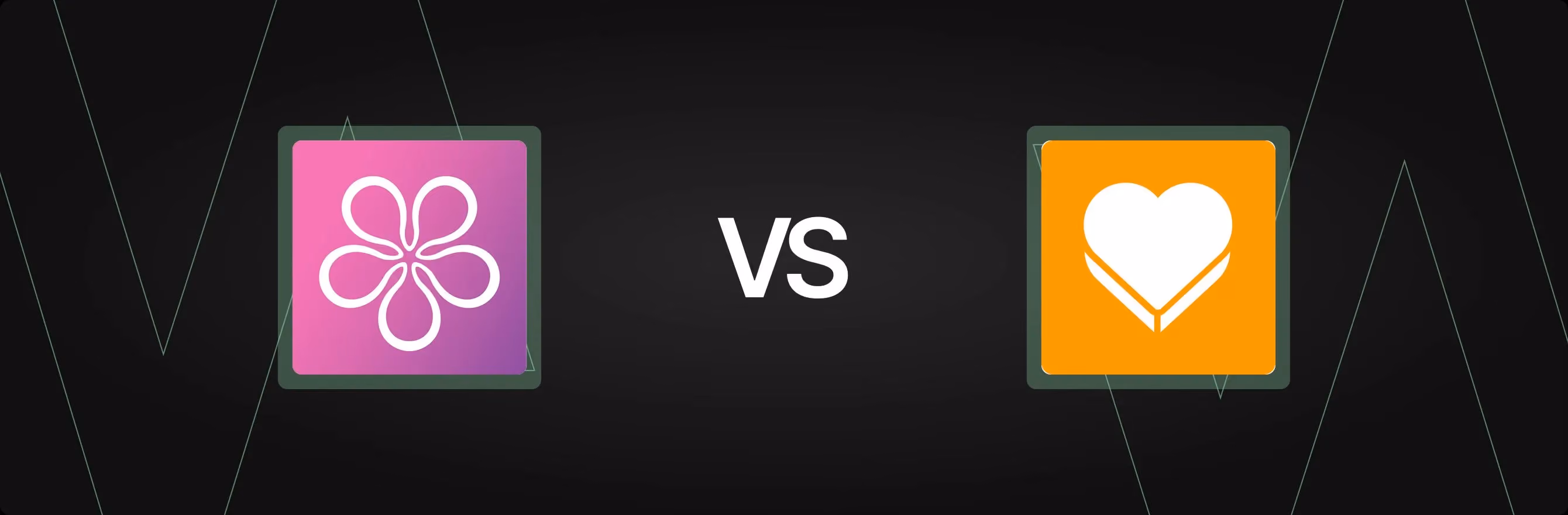 BON Loyalty Program & Rewards vs. Zing Loyalty Rewards Referrals: An In-Depth Comparison