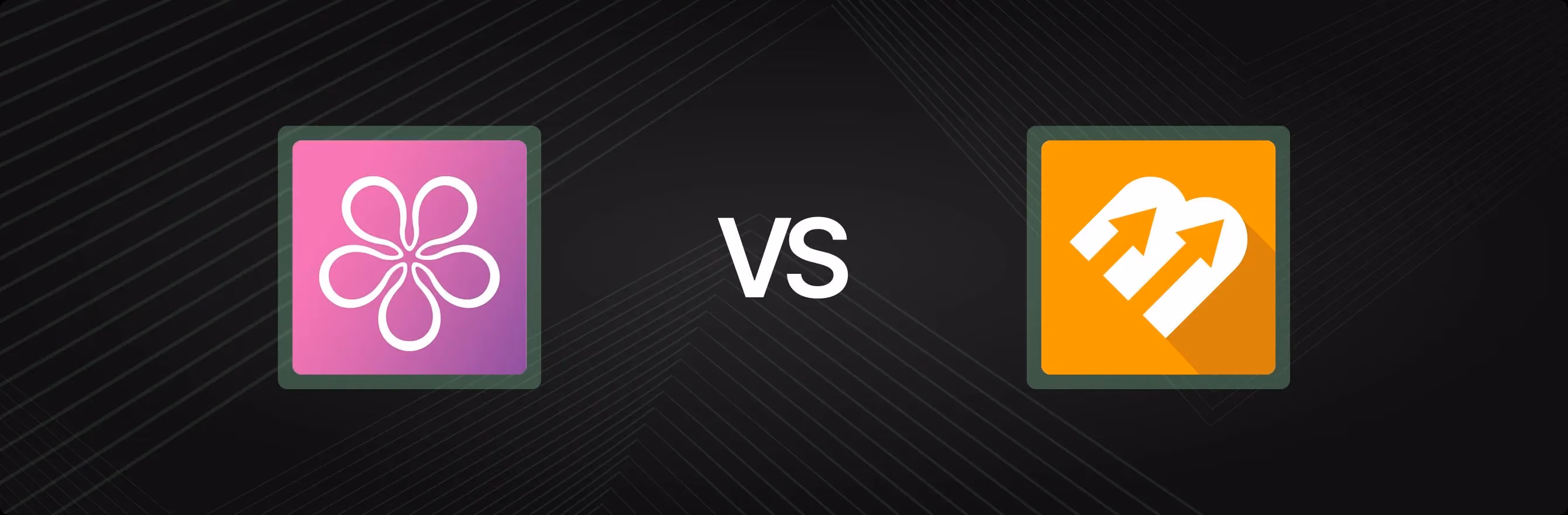 BON Loyalty Program & Rewards vs. BixGrow Affiliate Marketing Comparison