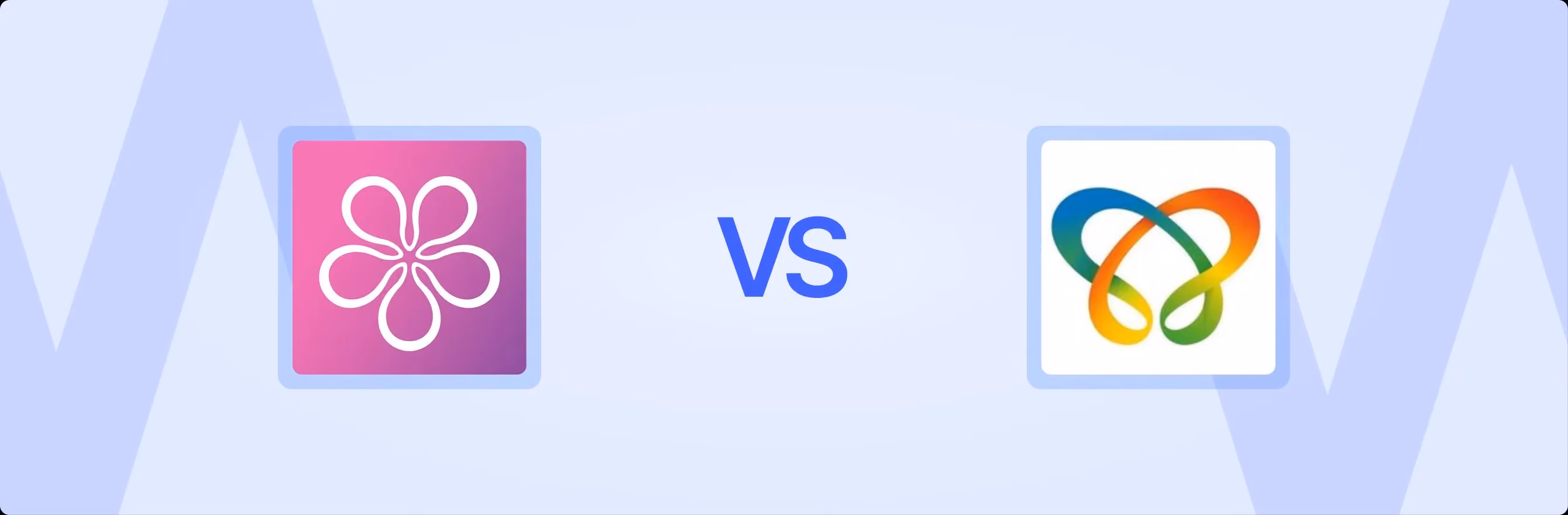 BON Loyalty Program & Rewards vs. Capillary Loyalty Rewards: An In-Depth Comparison