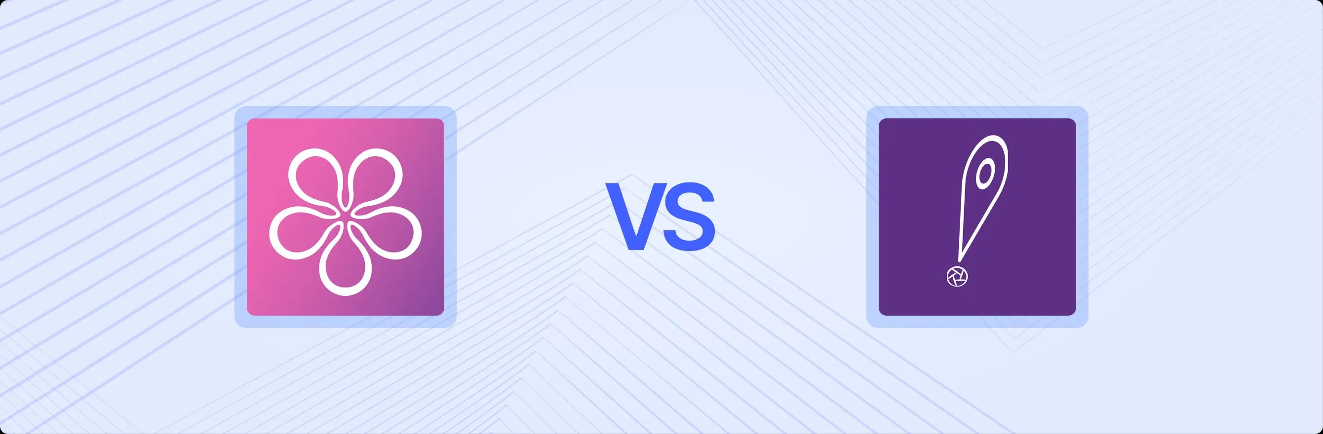 BON Loyalty Program & Rewards vs. SYP!: A Strategic Comparison