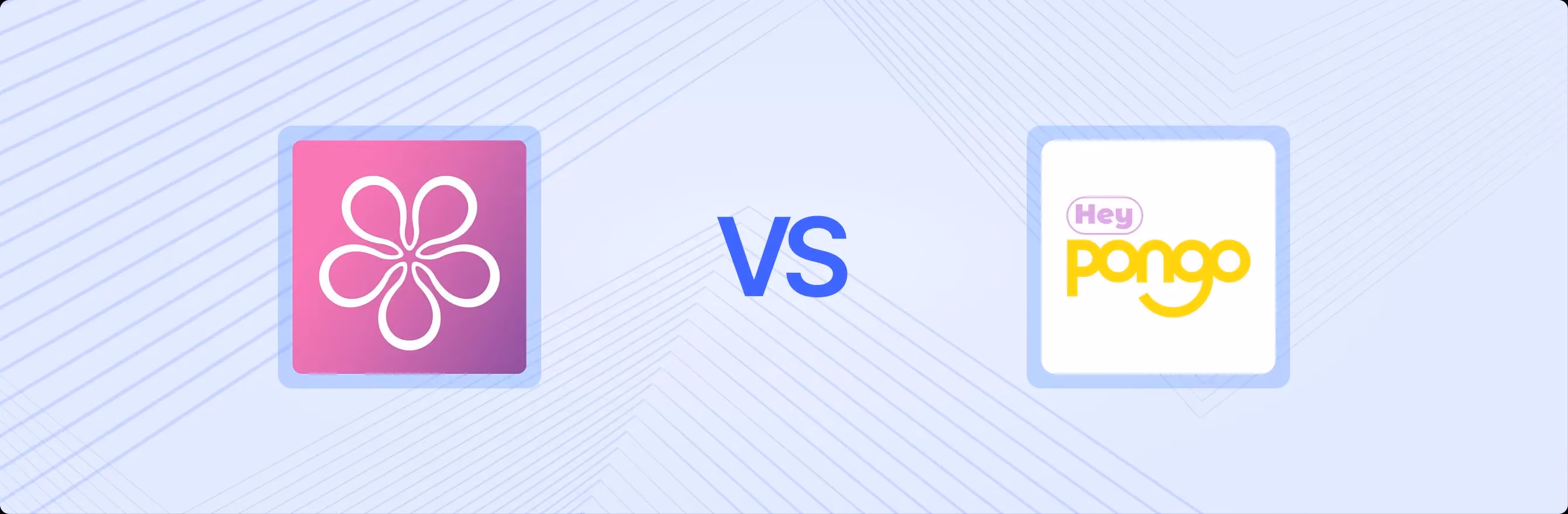BON Loyalty Program & Rewards vs. Hey Pongo: A Professional Comparison