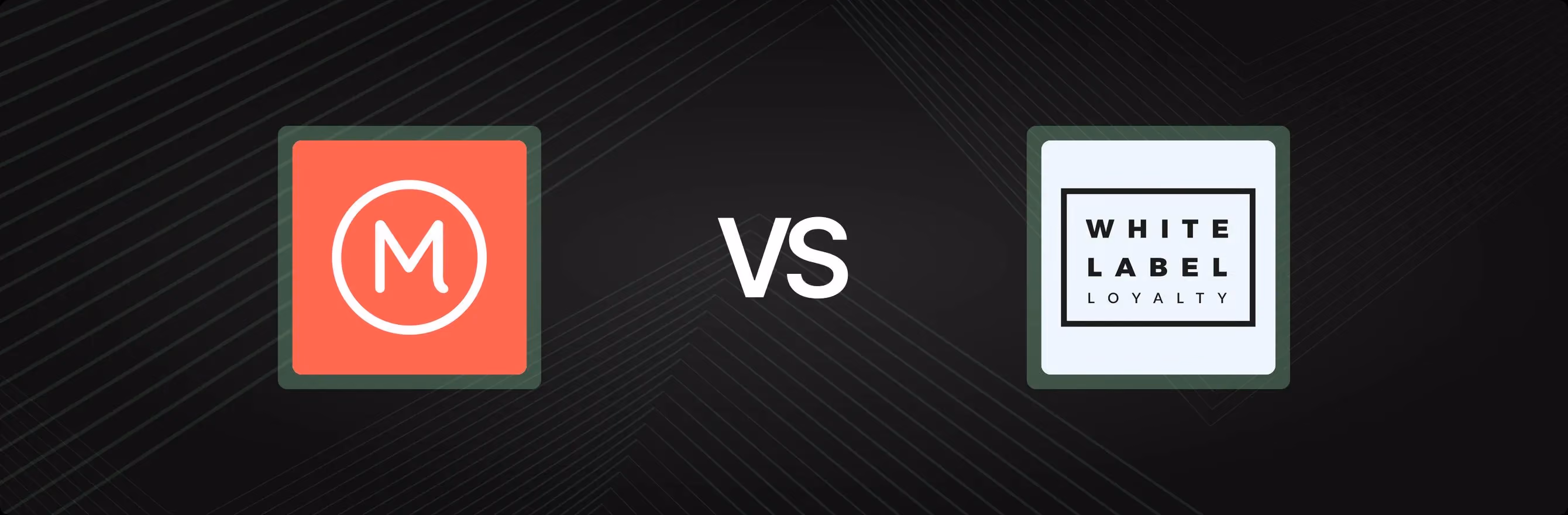 Marsello vs White Label Loyalty: Evaluating Shopify Retention Tools