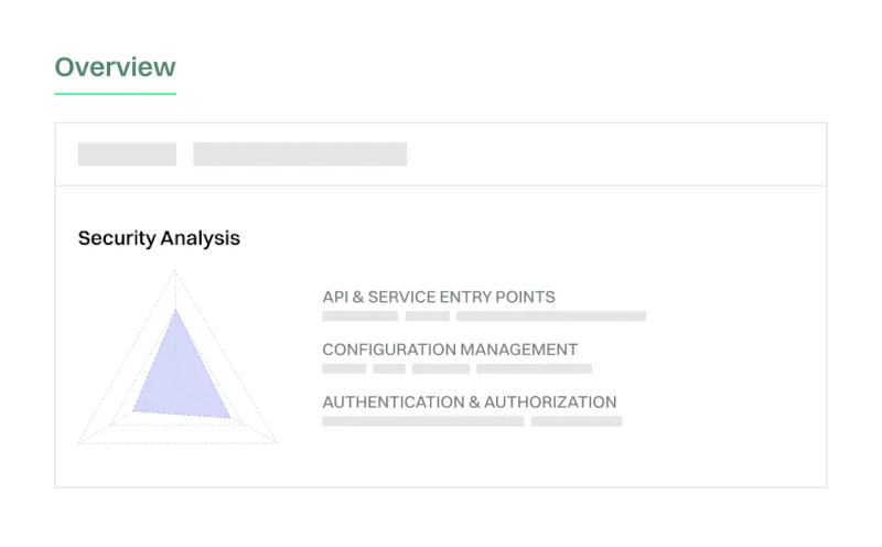 Overview section showing a security analysis radar chart with three categories: API & service entry points, configuration management, and authentication & authorization, each with progress bars.