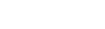 Netskope logo
