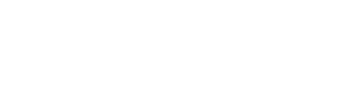 Observe AI Logo