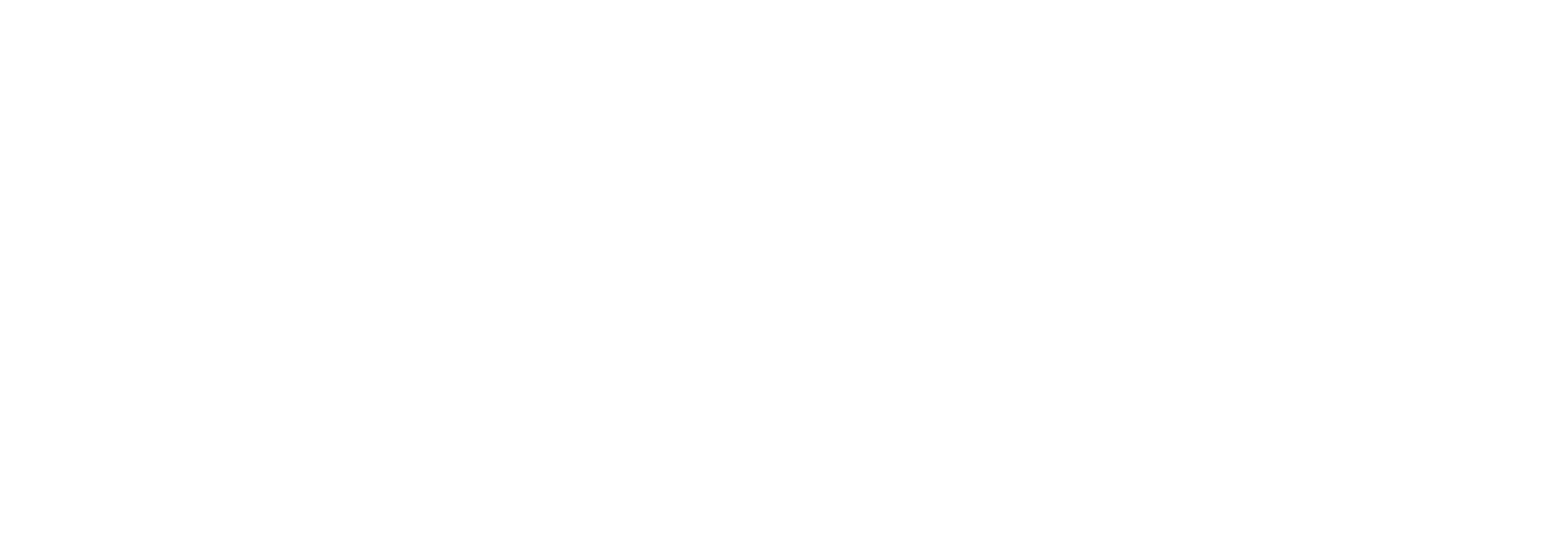 Binho white logo