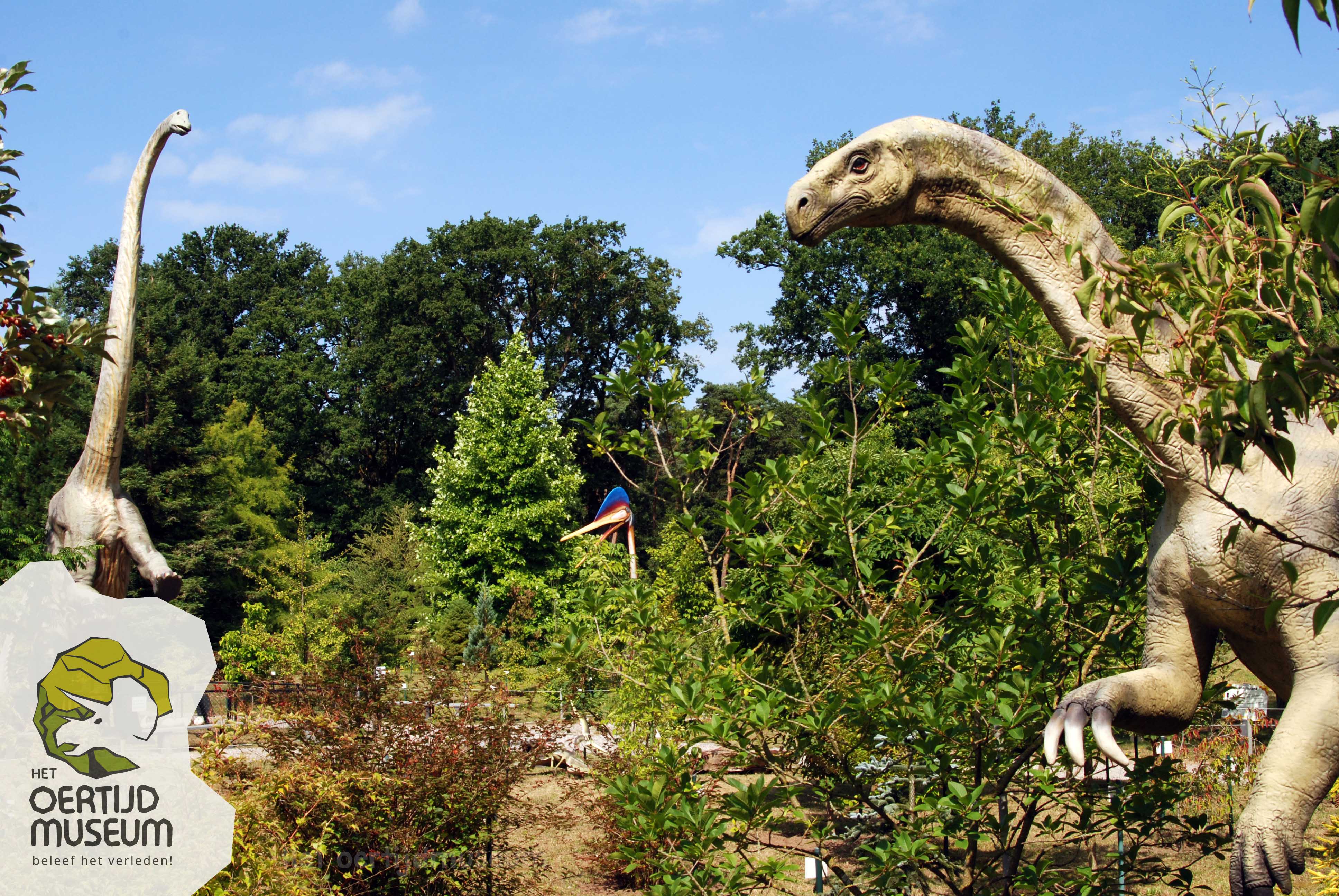 Het Oertijdmuseum