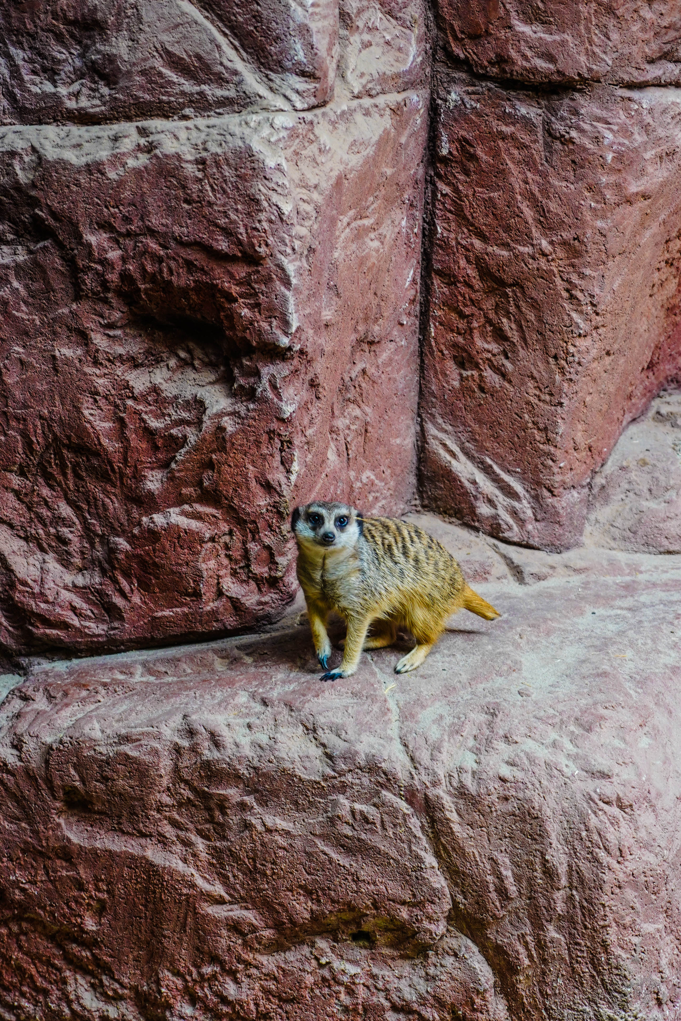 Avonturia de vogelkelder