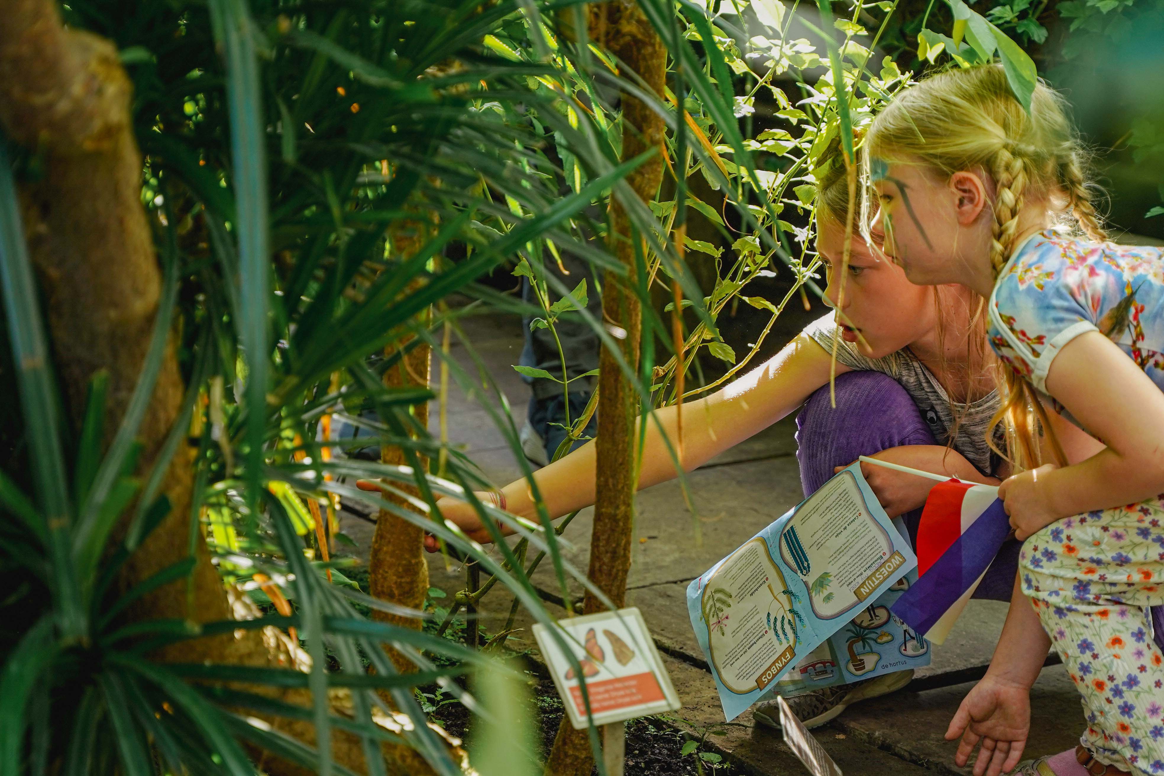 Hortus Botanicus