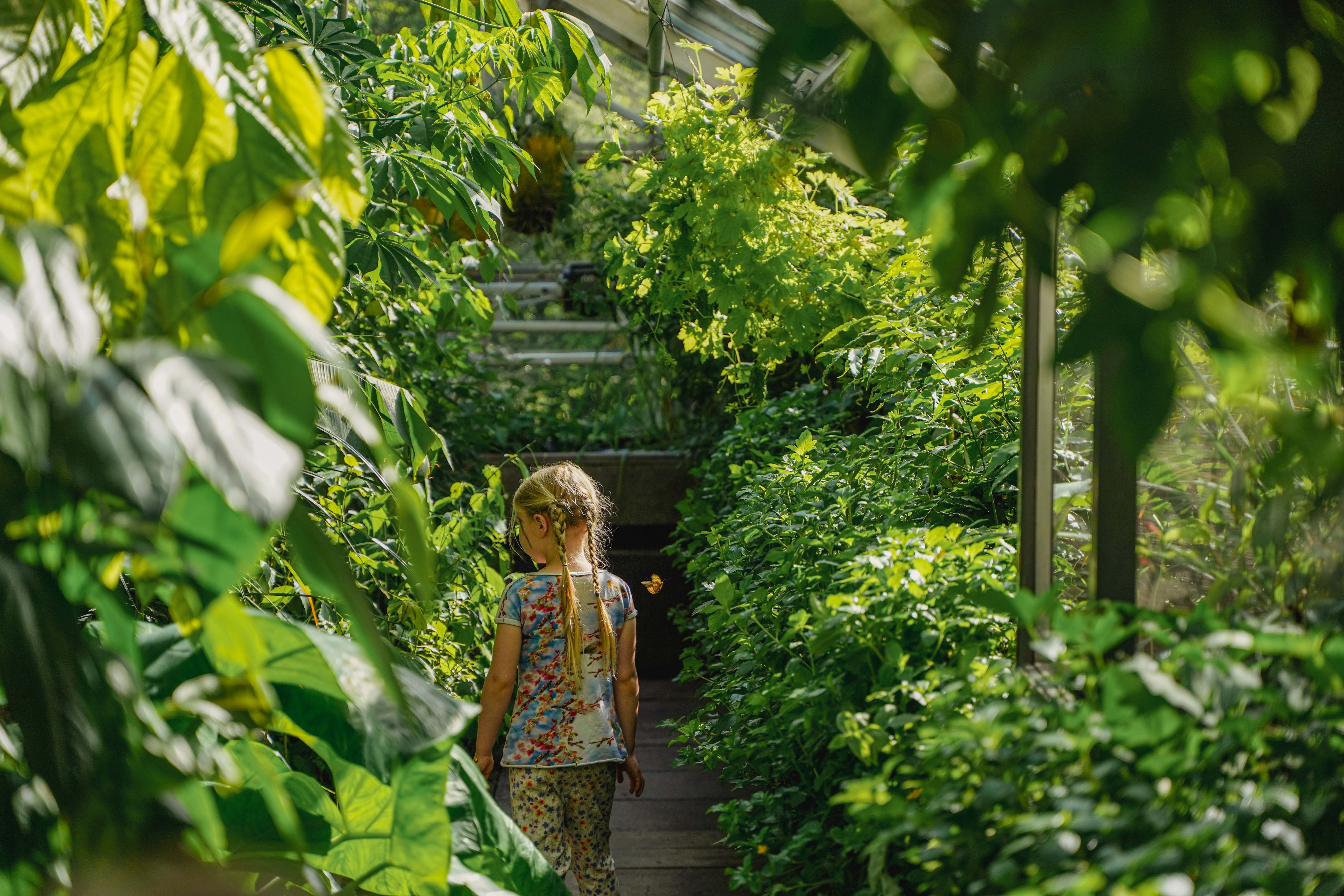 Hortus Botanicus
