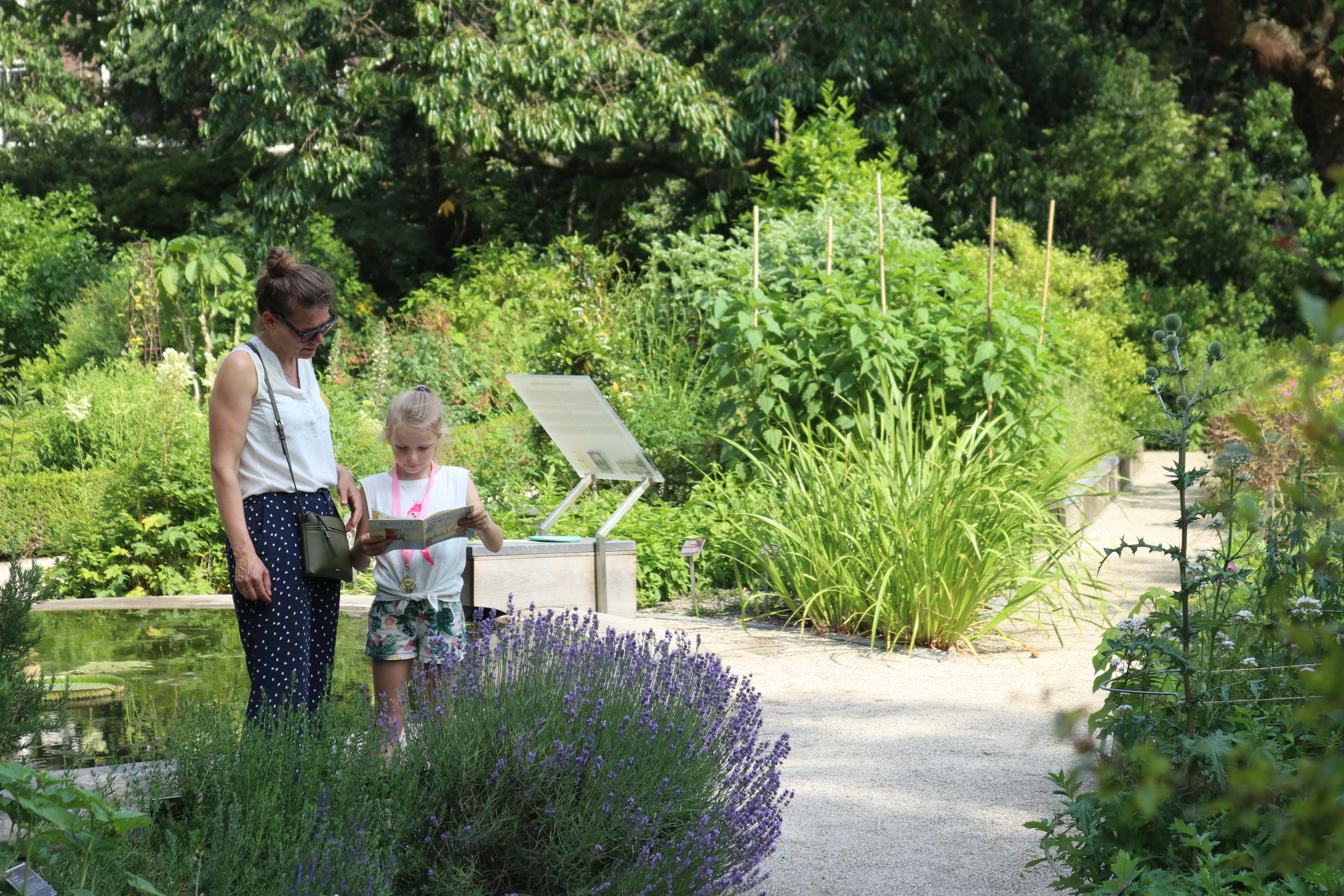 Hortus Botanicus