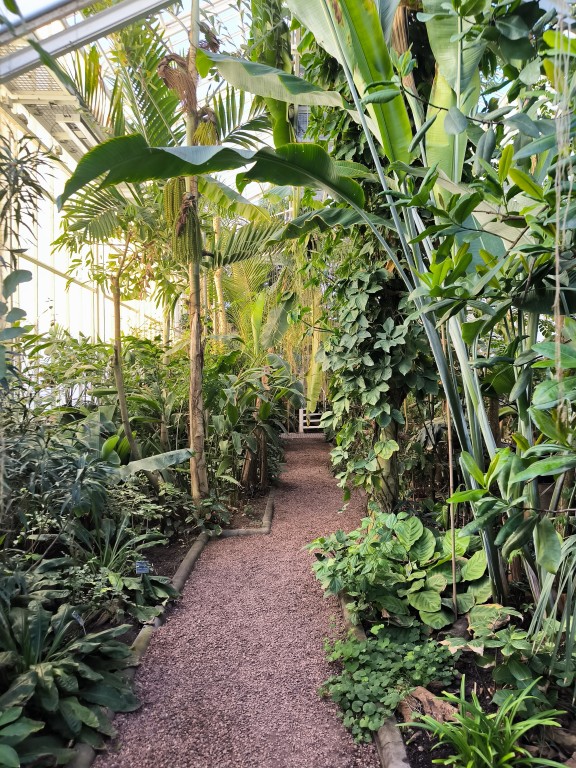 TU Delft Hortus Botanicus