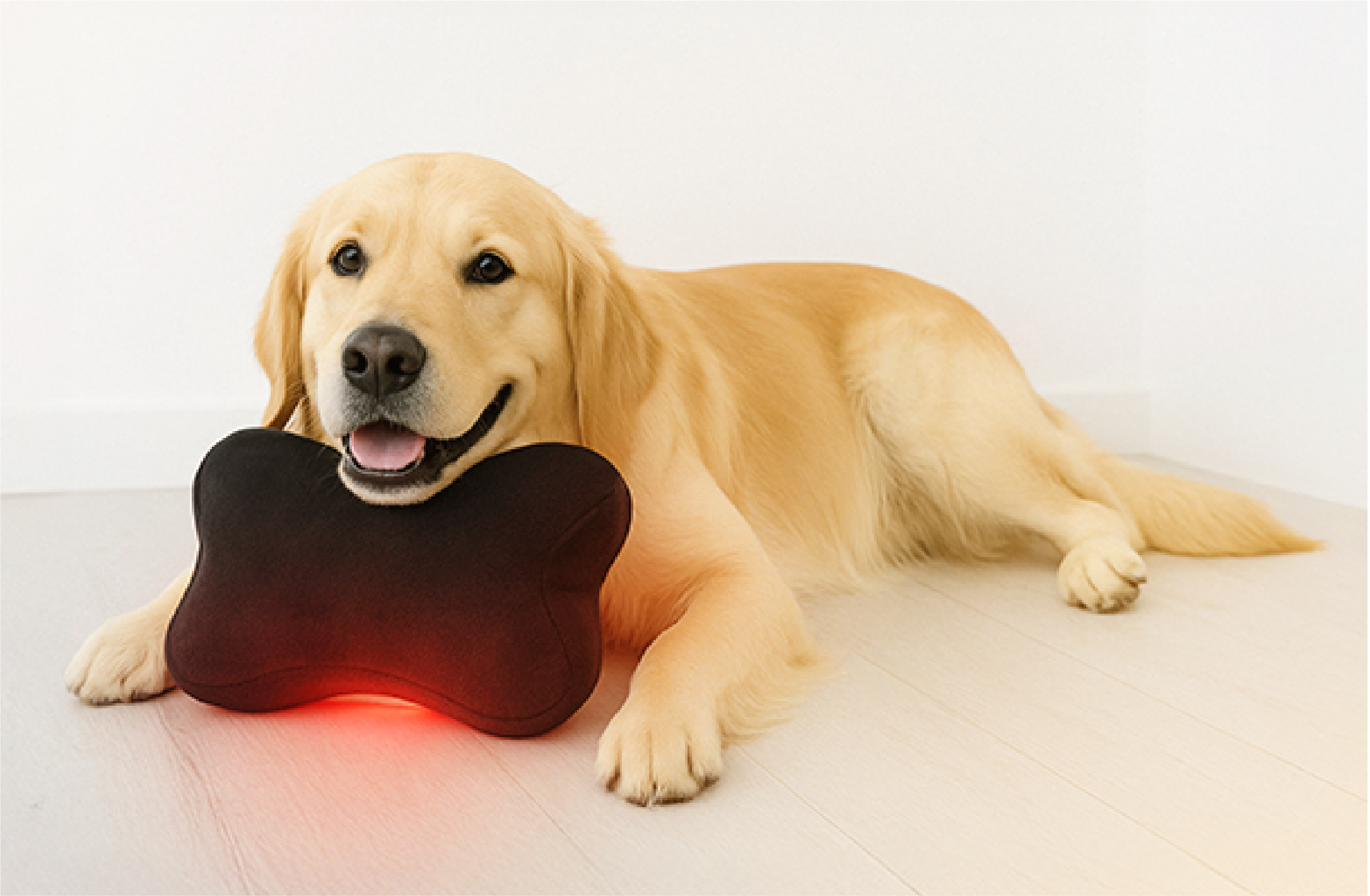 baby with dog toy 