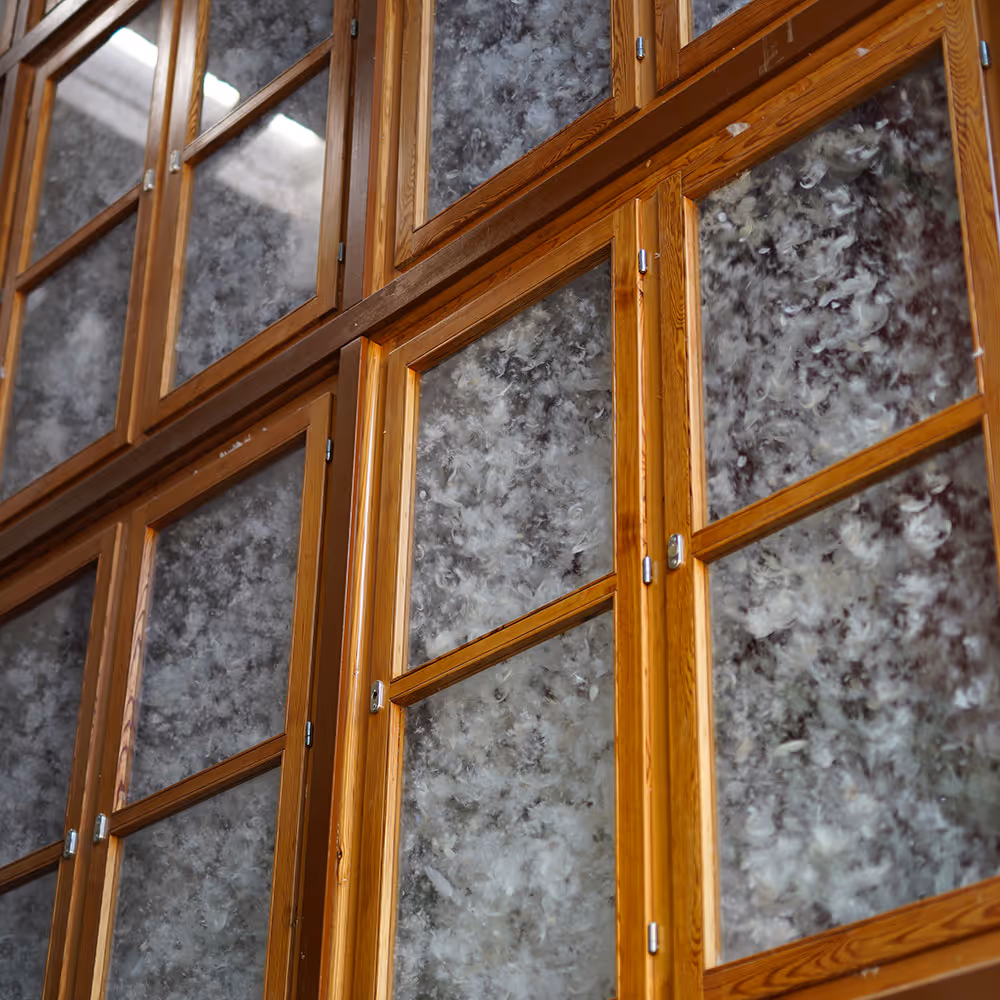 Mehrere Holzrahmen mit Glasscheiben, hinter denen weiße Federn sichtbar sind.