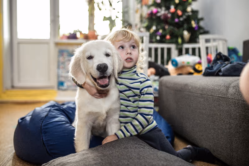 girl with her dog sitting on a sofa, photo