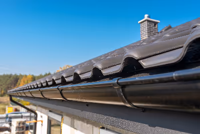 gutter cleaning
