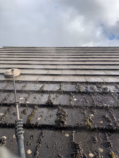 Roof cleaning performed by BDS Pro Clean, photo