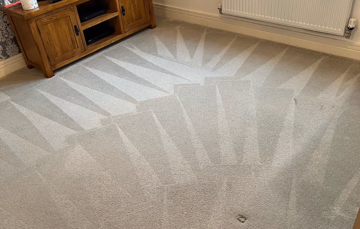 carpet after cleaning