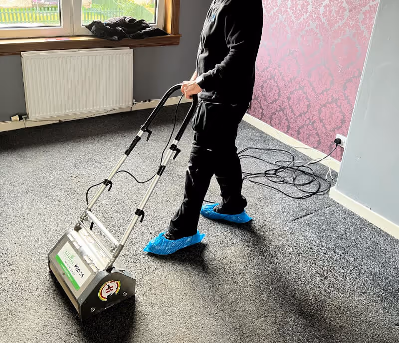 cleaning the carpet