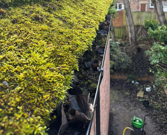 before gutter cleaning