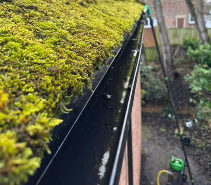after gutter cleaning
