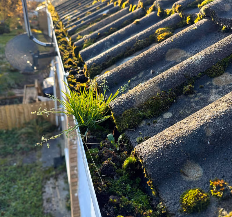 gutters clogged up