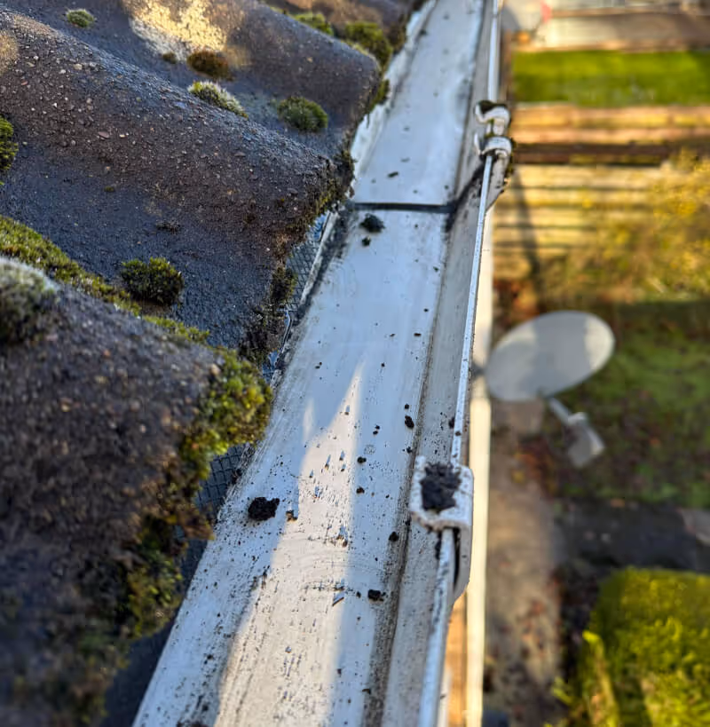 clean gutters