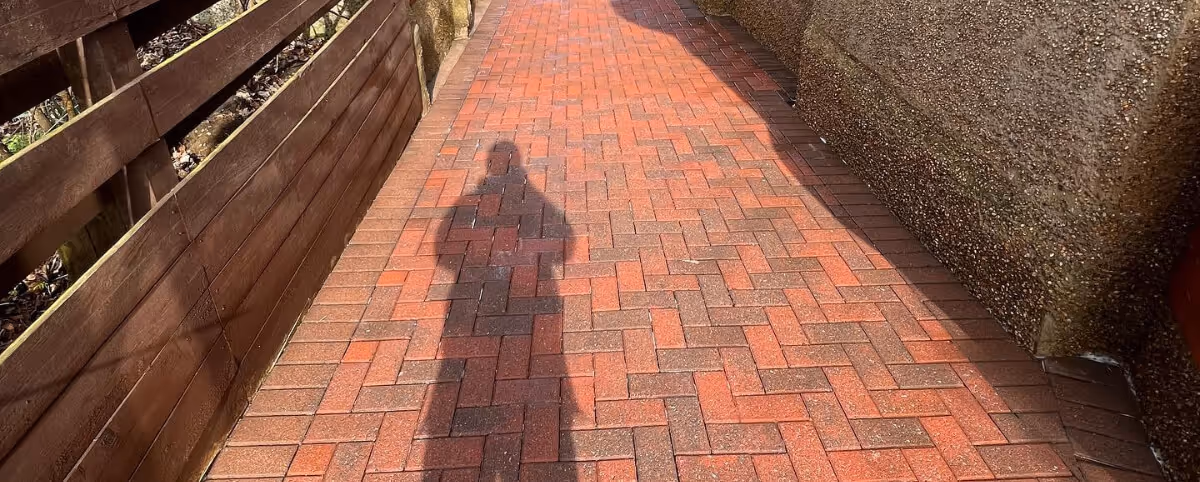 driveway freshly cleaned, photo