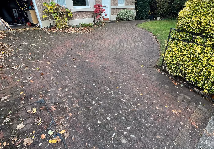 driveway before cleaning
