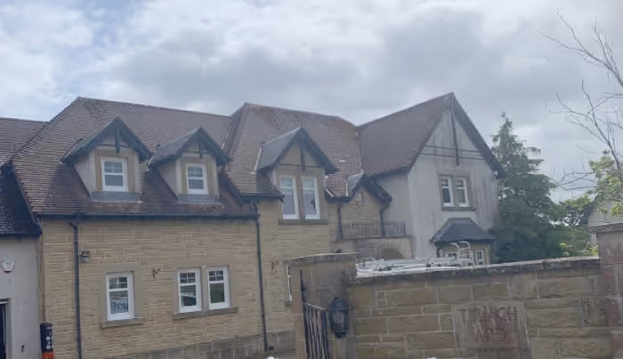 roof cleaning before