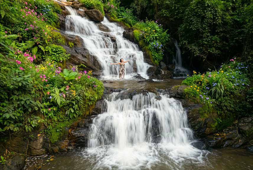 A waterfall in the Western Ghats on a Harrisons Malayalam estate