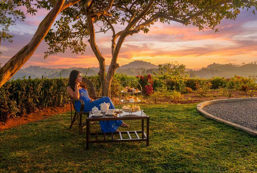 Afternoon tea served in a plantation garden at sunset