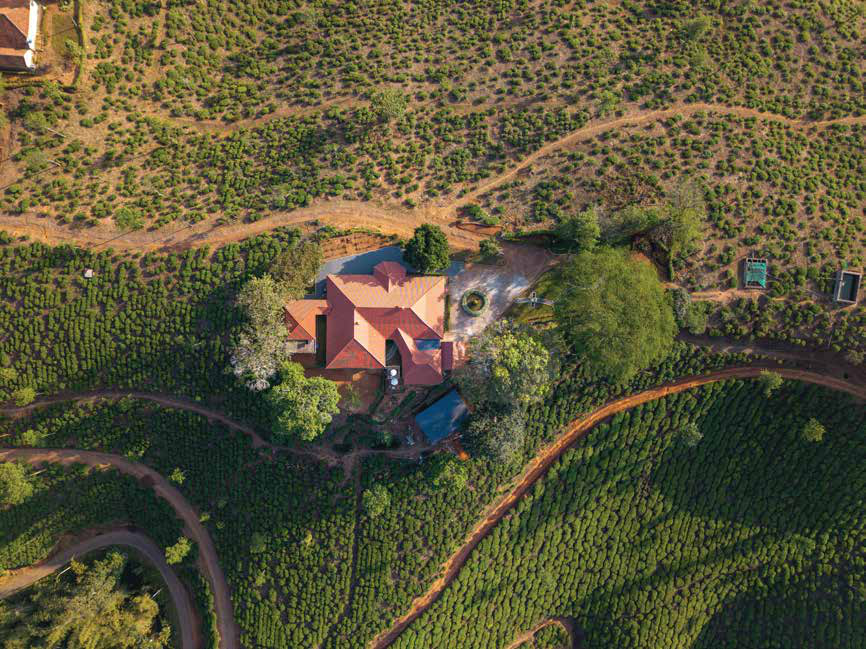 Aerial view of a heritage plantation bungalow surrounded by tea fields