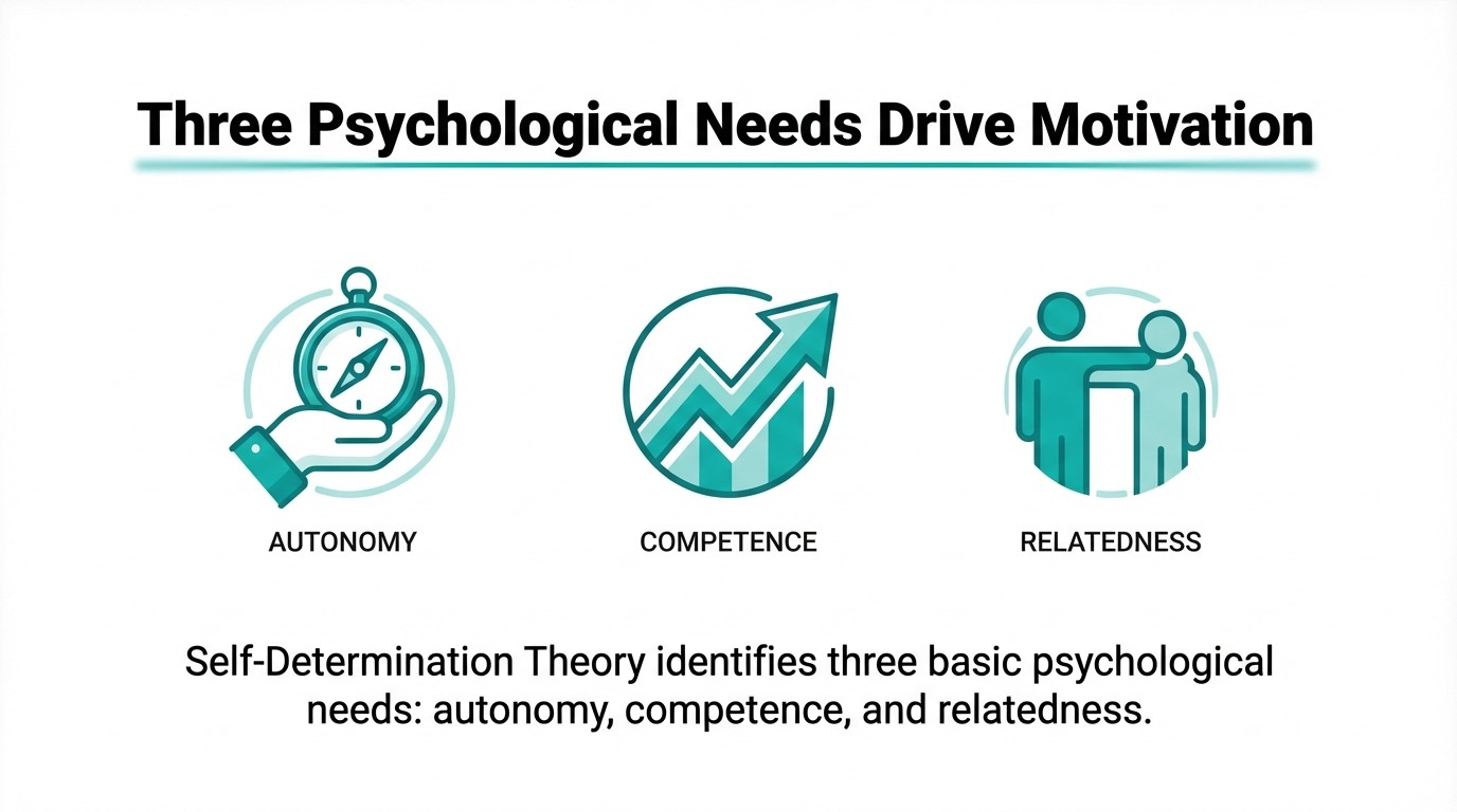 Self-Determination Theory identifies three basic psychological needs: autonomy, competence, and relatedness.