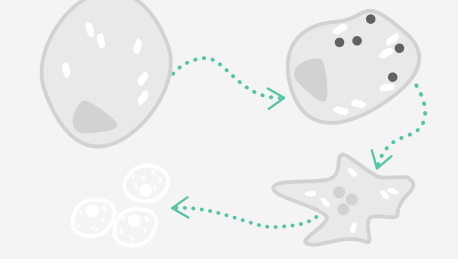 IV Синглетный кислород вызывает самоликвидацию [апоптоз] клеток с измененным метаболизмом