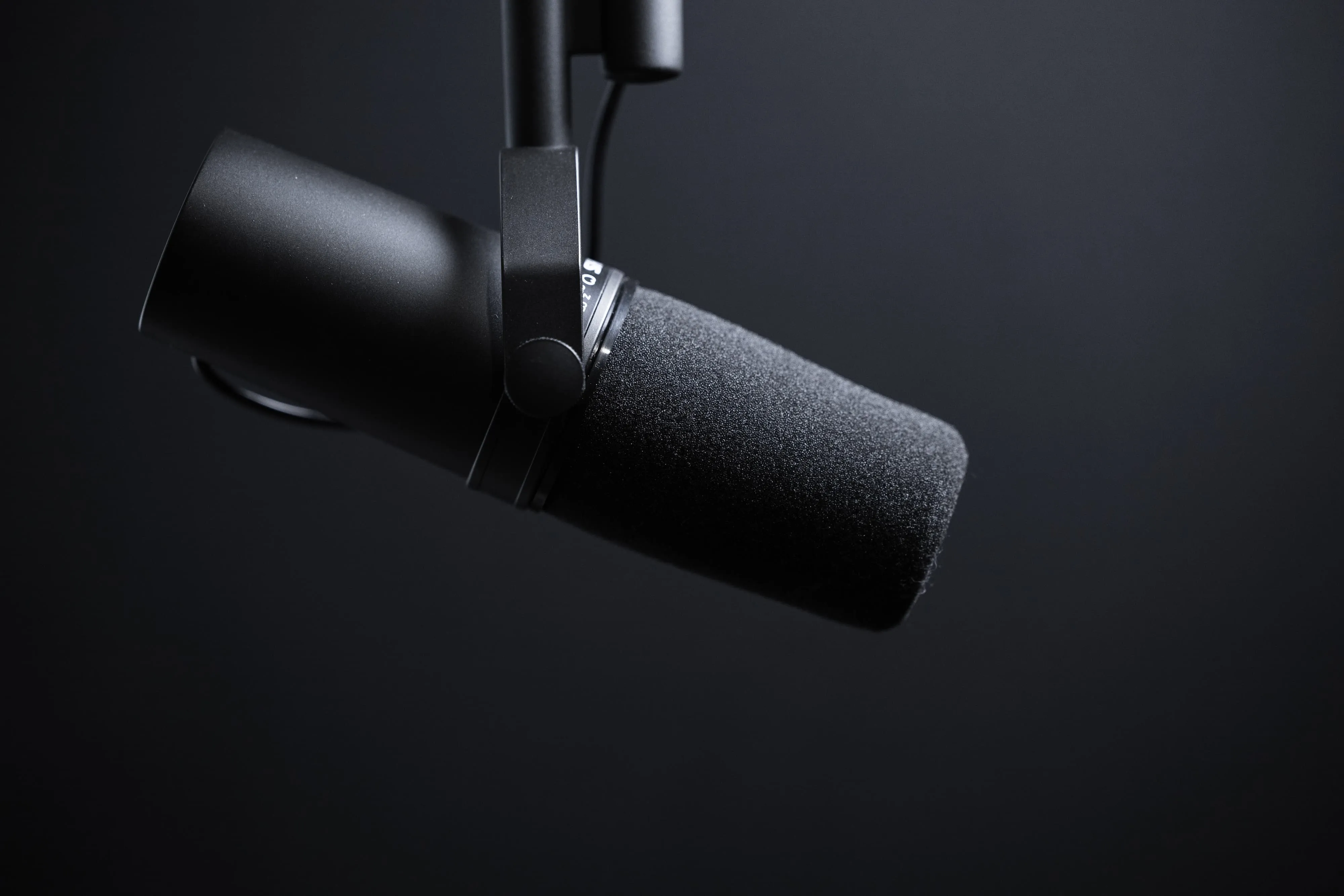 microphone