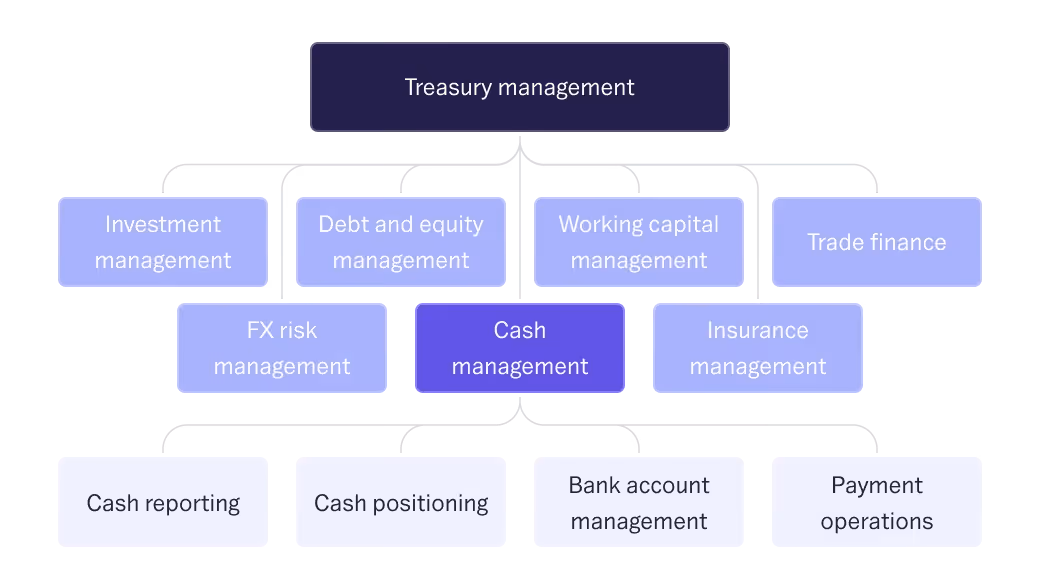 Overview of treasury management sub-functions
