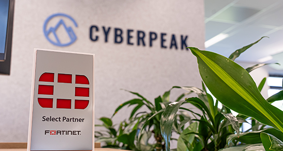 De CyberPeak oplossing