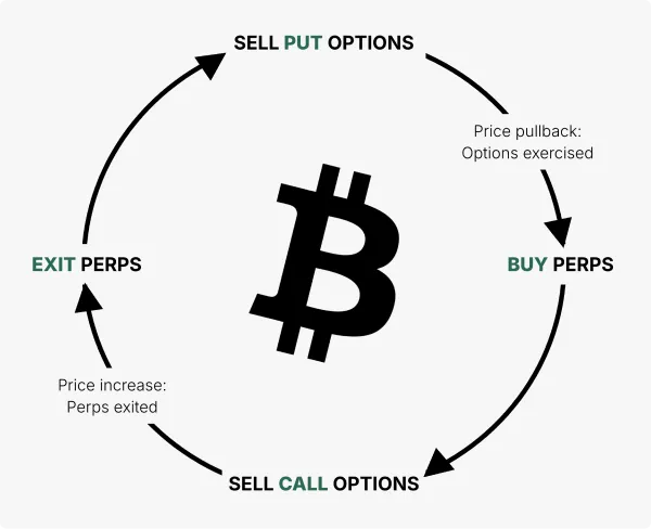 Sell put and call options