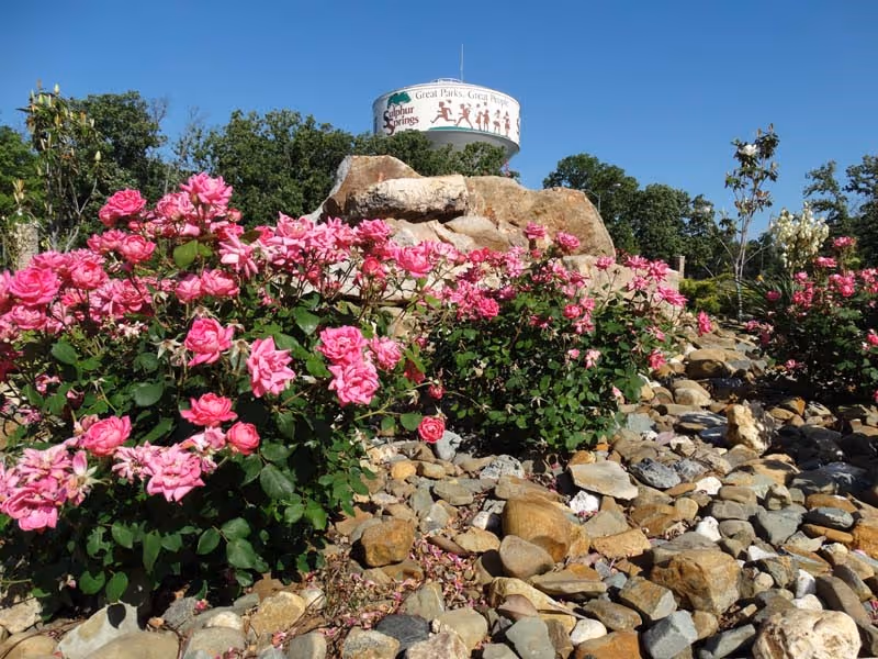 Flowers with water tower behind