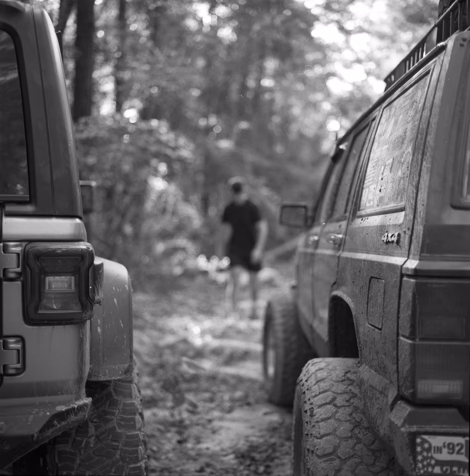 Jeeps