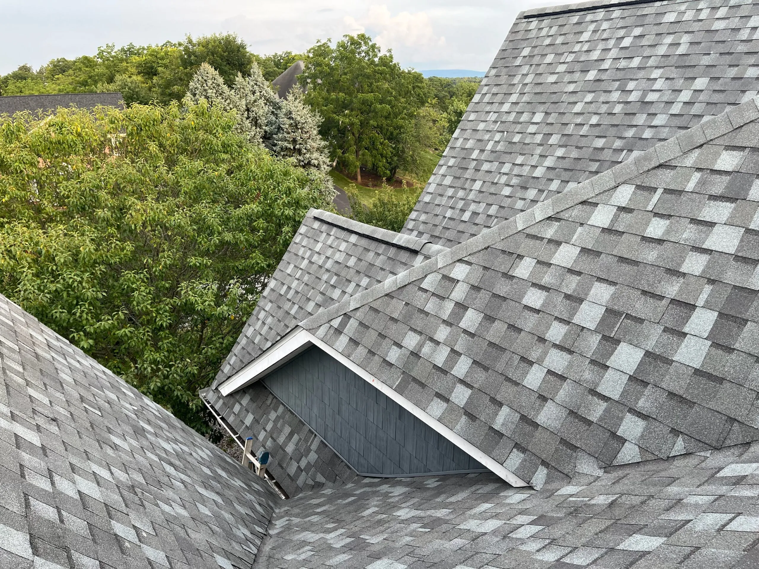Complex gray asphalt shingle roof with steep intersecting gables and valleys on a home, framed by mature green trees in view.