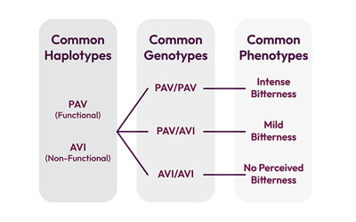 how does it all work