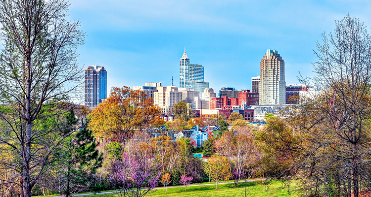 Raleigh North Carolina Skyline