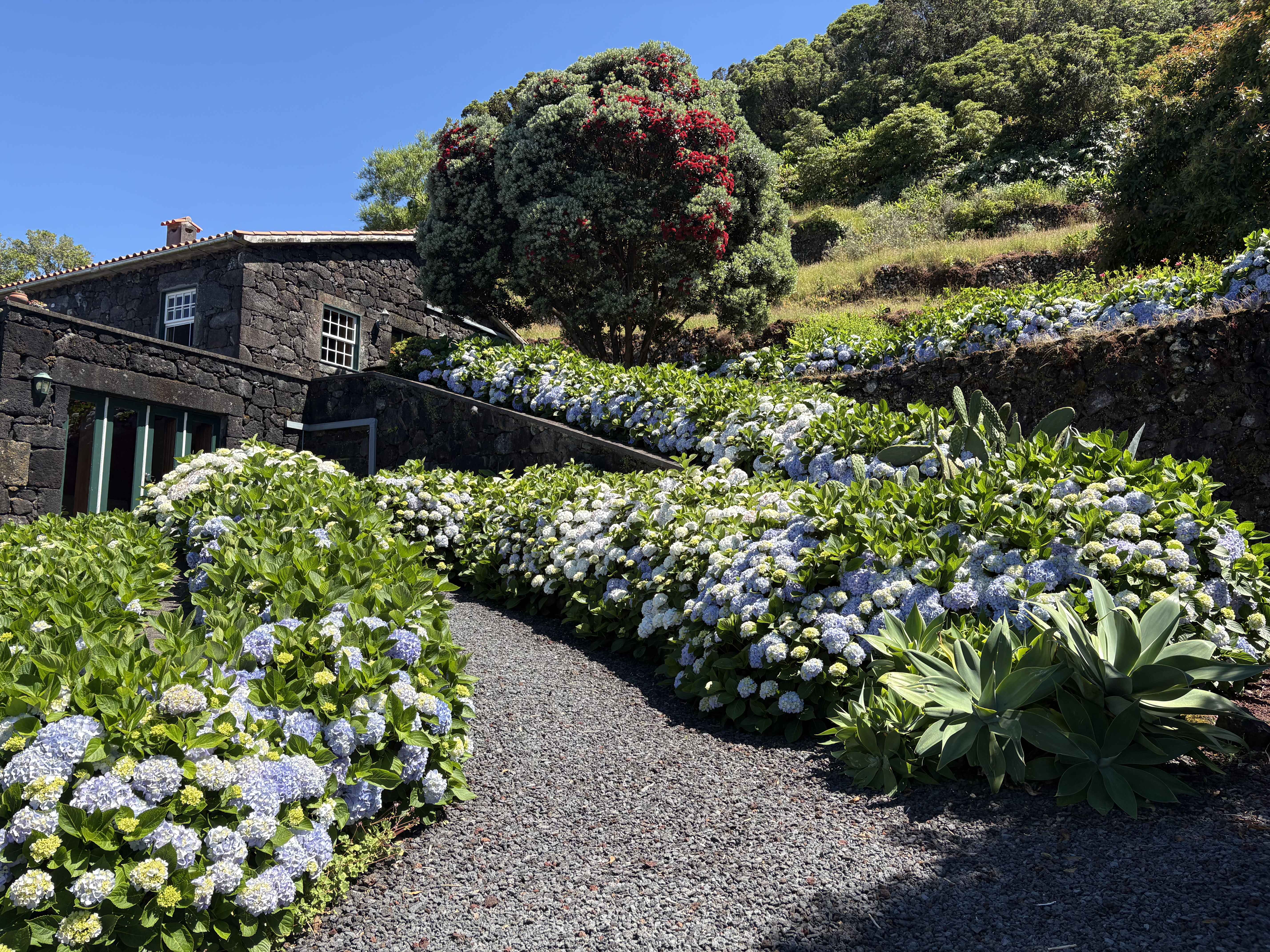 Casa do Jardim and its garden at Highland Homes in Santo Amaro, Pico