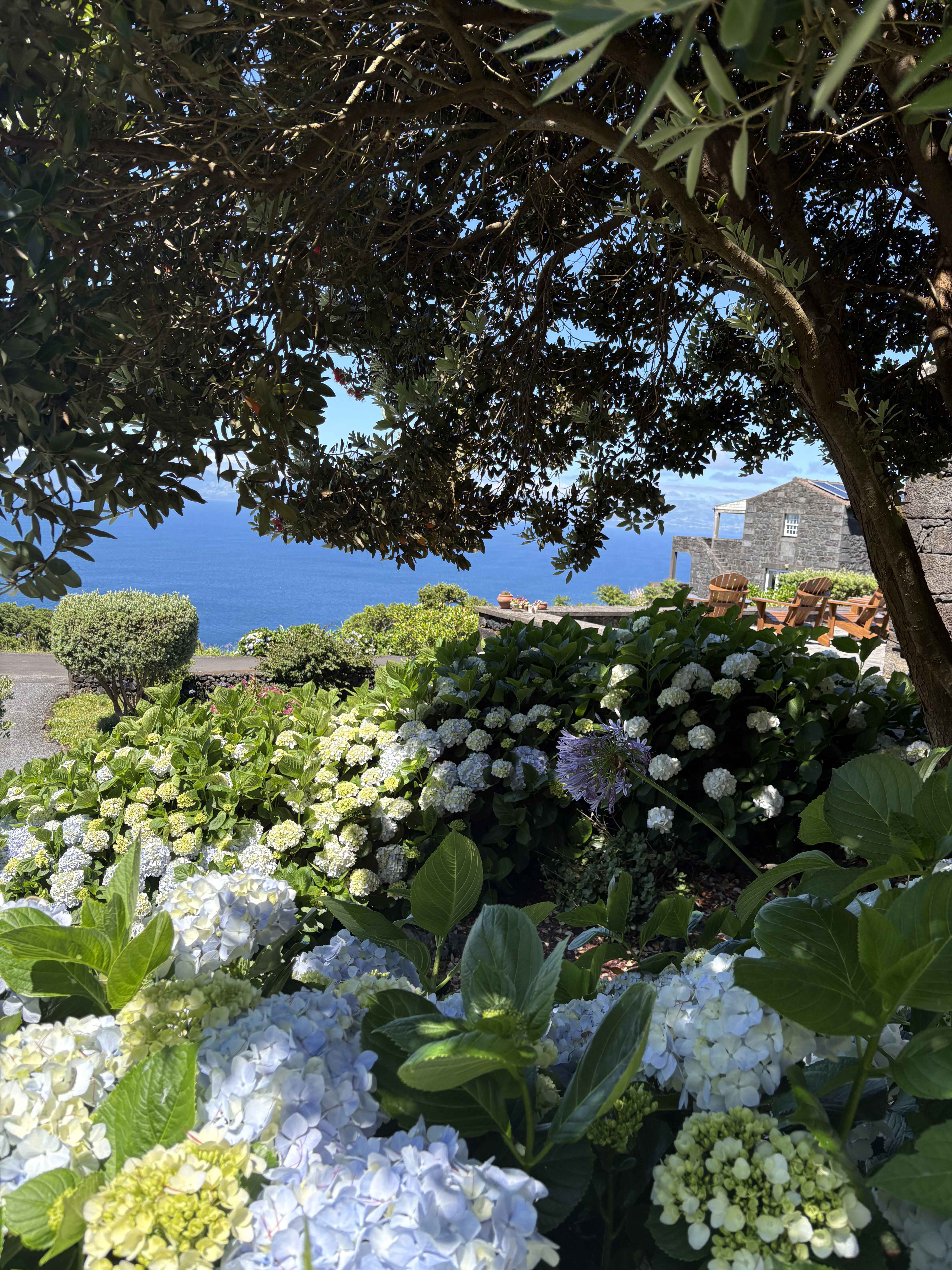 The garden around Casa da Terra Alta in Terra Alta, Santo Amaro, Pico